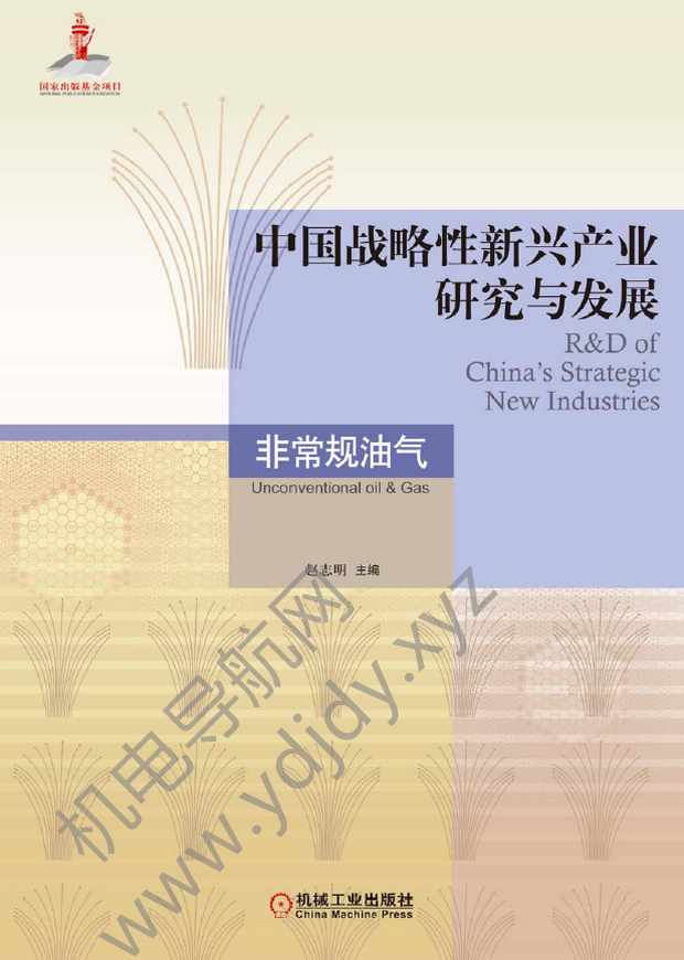 中国战略性新兴产业研究与发展：非常规油汽